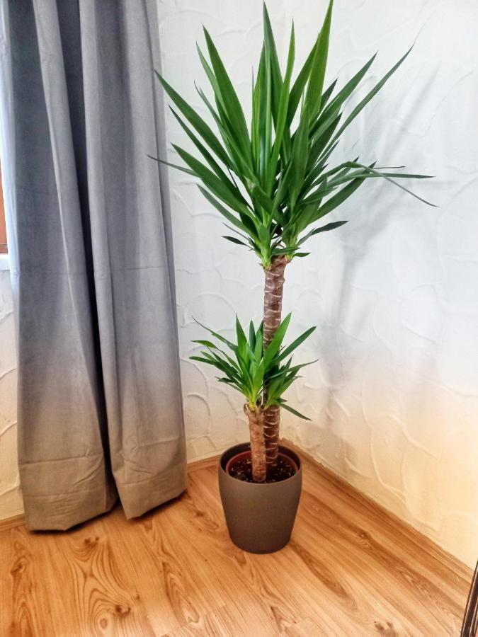 Ferienwohnung Am Wald ويدرنغ المظهر الخارجي الصورة