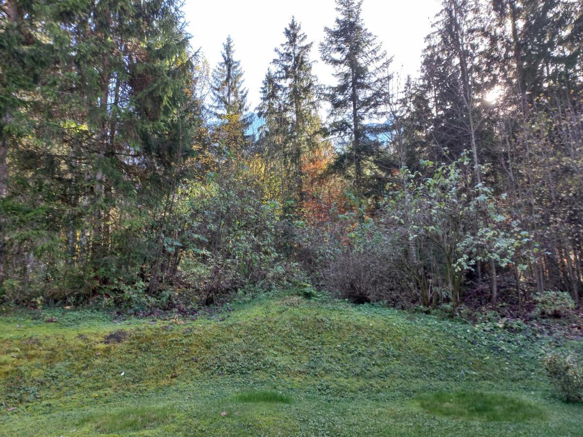 Ferienwohnung Am Wald ويدرنغ المظهر الخارجي الصورة